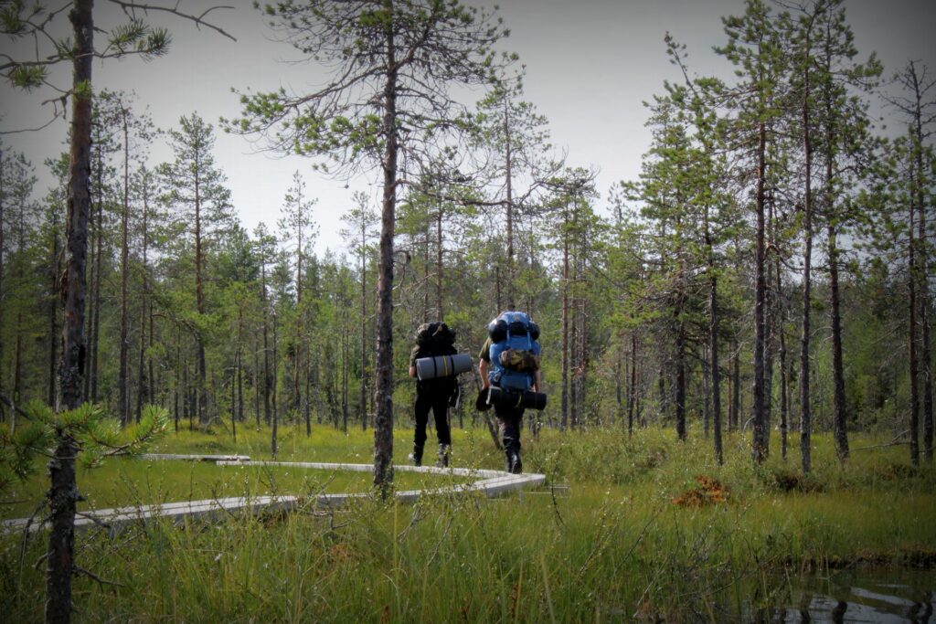 Hiking Pack